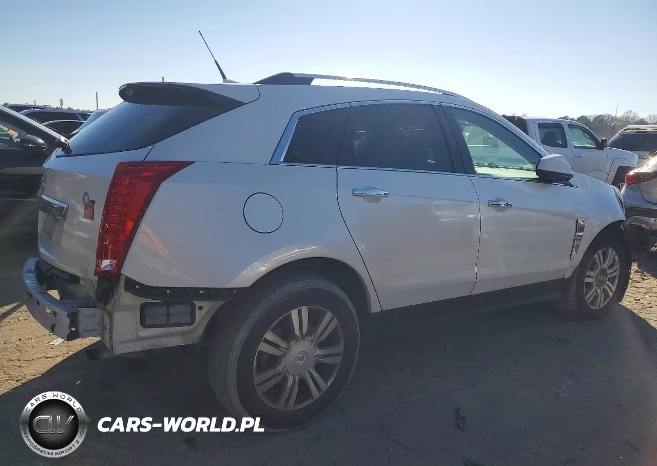 2010 Cadillac Srx Luxury Collection VIN:3GYFNAEY2AS552992 - 3