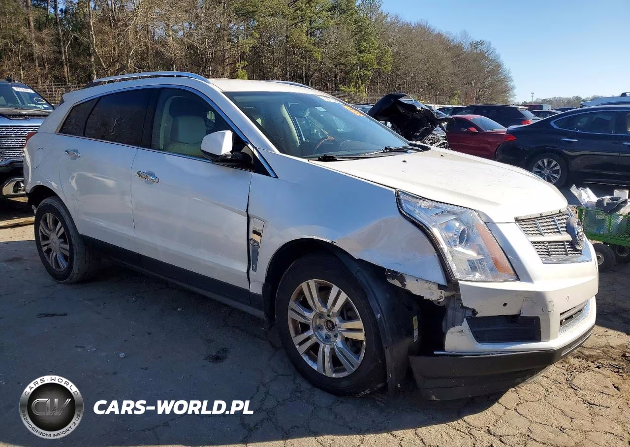 2010 Cadillac Srx Luxury Collection VIN:3GYFNAEY2AS552992 - 4