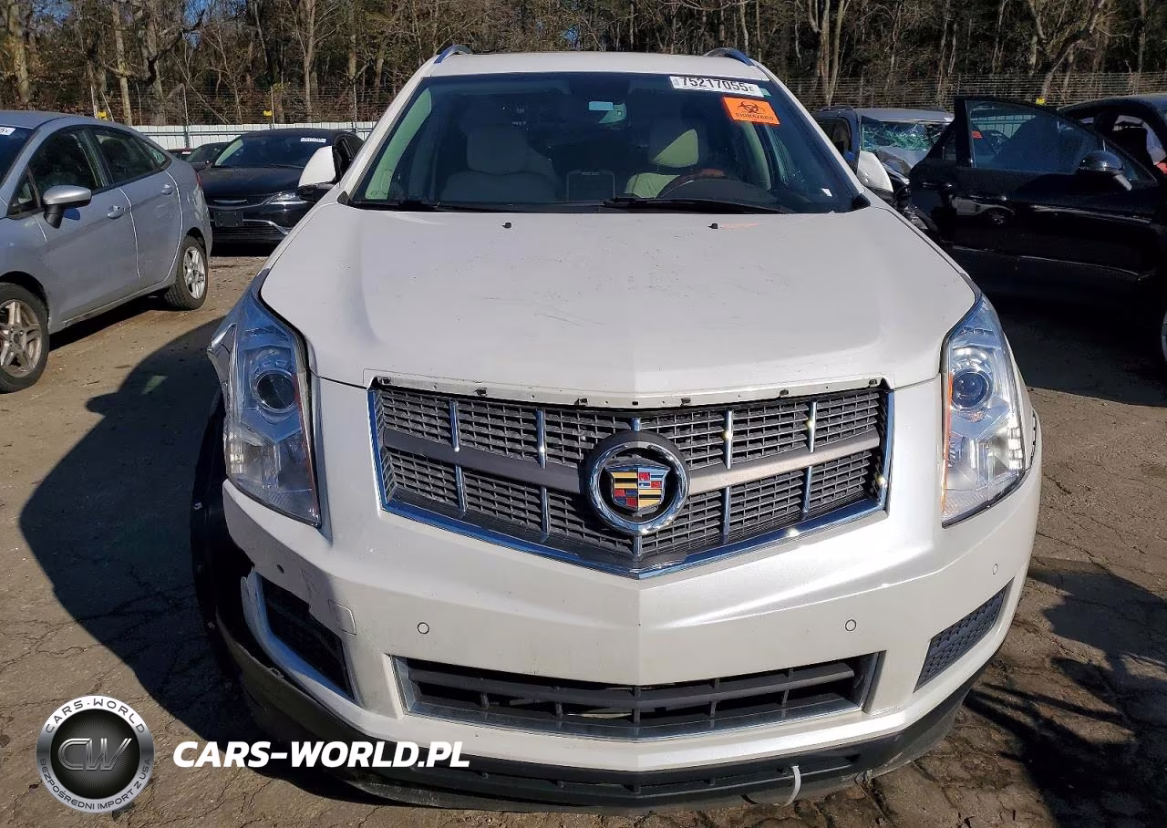 2010 Cadillac Srx Luxury Collection VIN:3GYFNAEY2AS552992 - 5