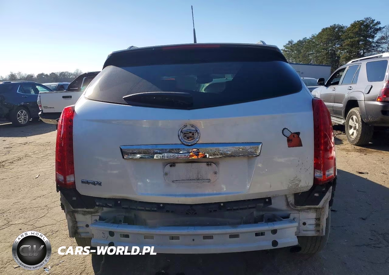 2010 Cadillac Srx Luxury Collection VIN:3GYFNAEY2AS552992 - 6