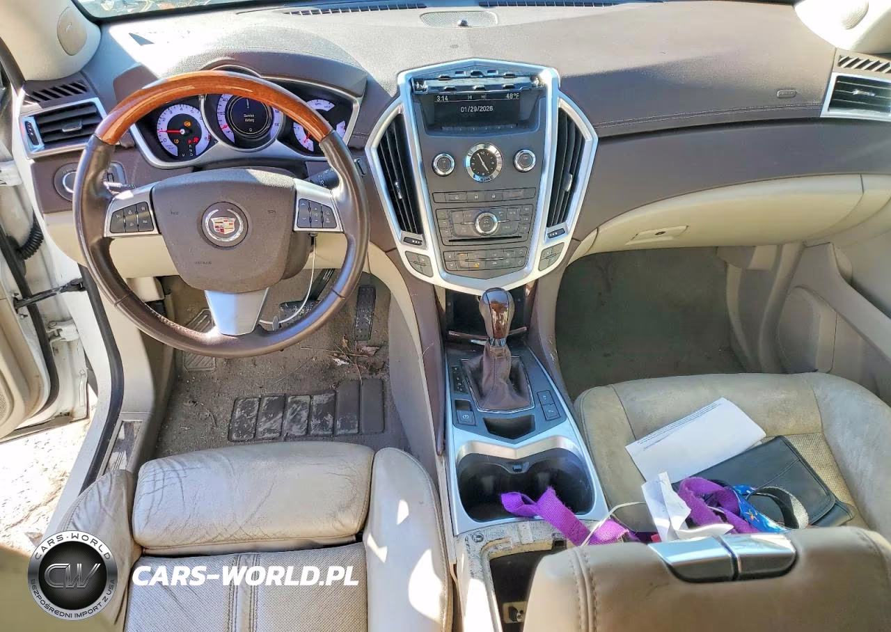 2010 Cadillac Srx Luxury Collection VIN:3GYFNAEY2AS552992 - 8