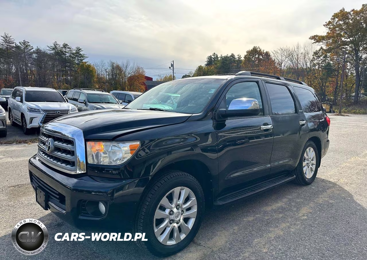 2010 Toyota Sequoia Platinum VIN:5TDDY5G17AS024381 - 2