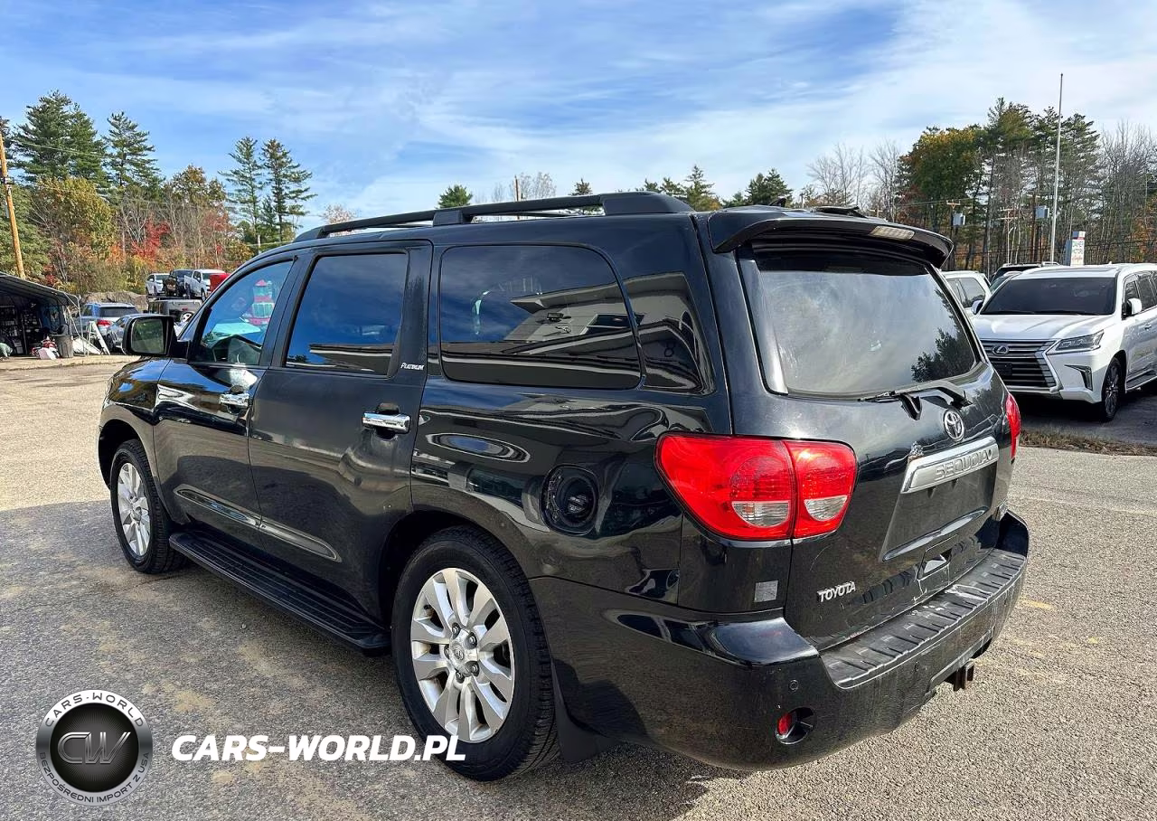 2010 Toyota Sequoia Platinum VIN:5TDDY5G17AS024381 - 3