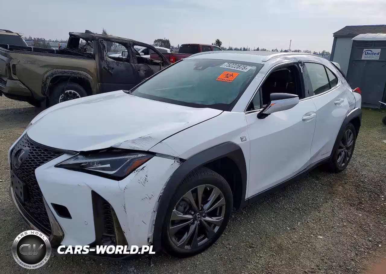 2019 Lexus Ux 250H F Sport