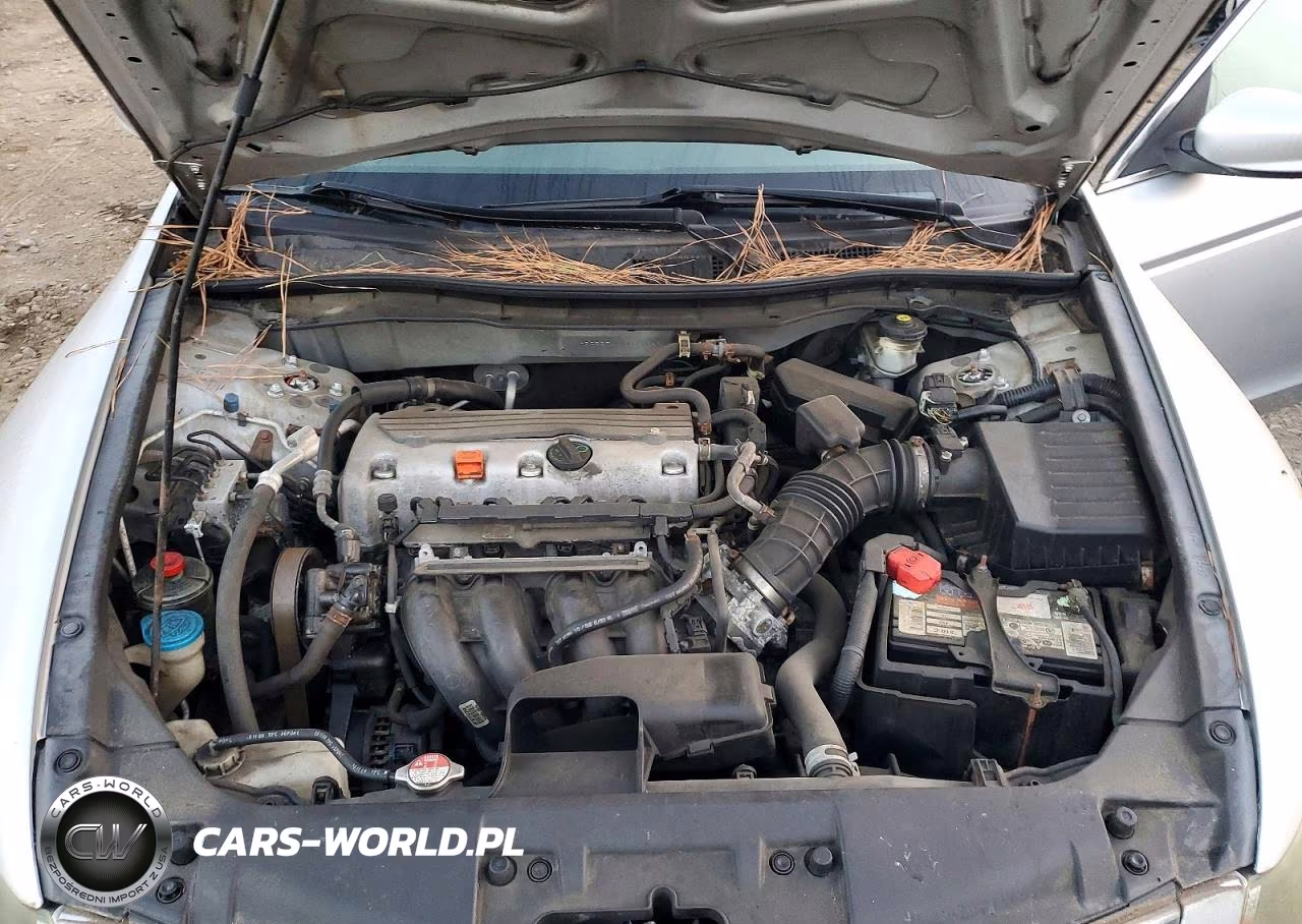 2010 Honda Accord Lxp VIN:1HGCP2F4XAA110646 - 11