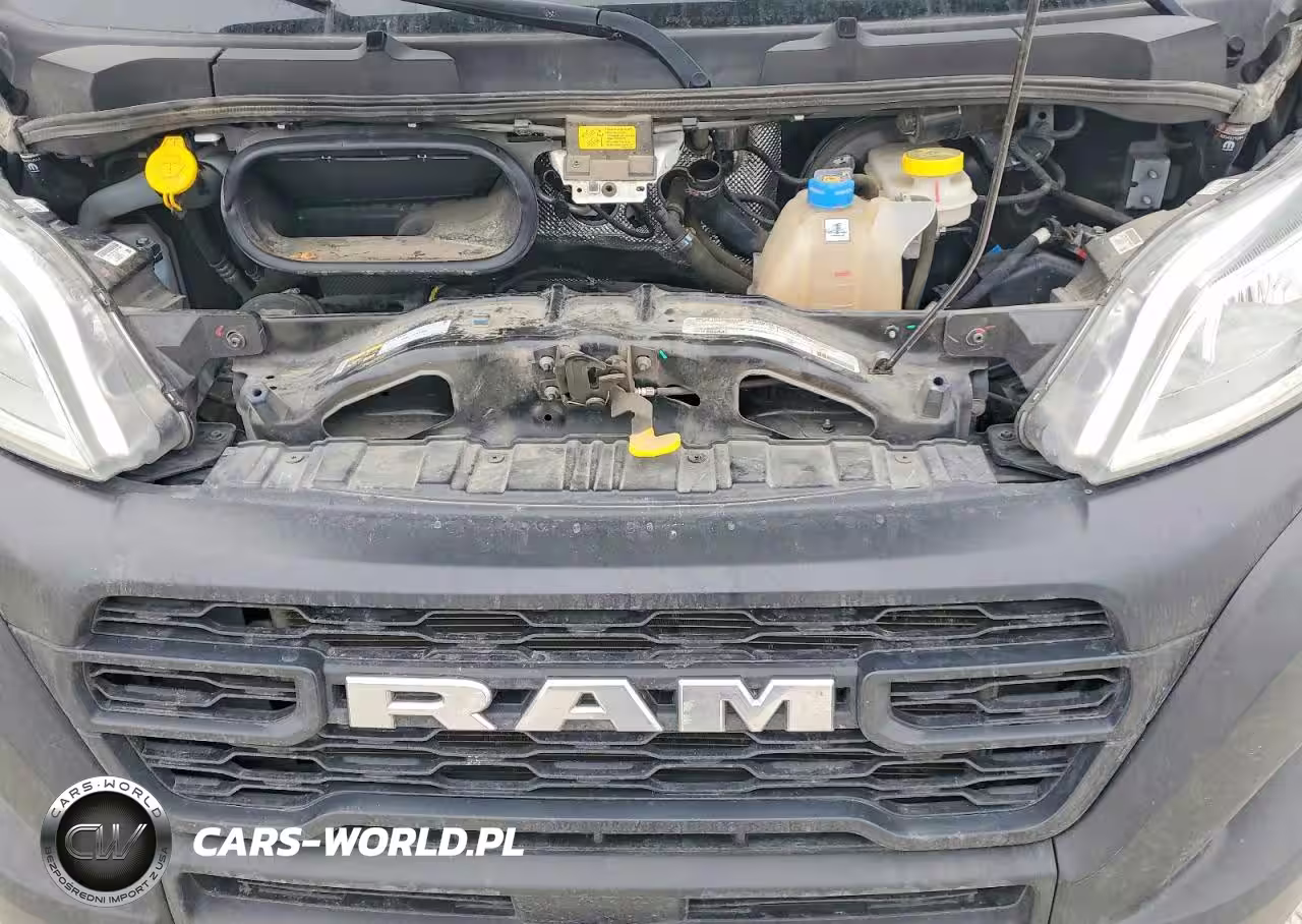 2023 Ram Promaster 2500 Delivery Van VIN:3C6LRVDGXPE576100 - 12