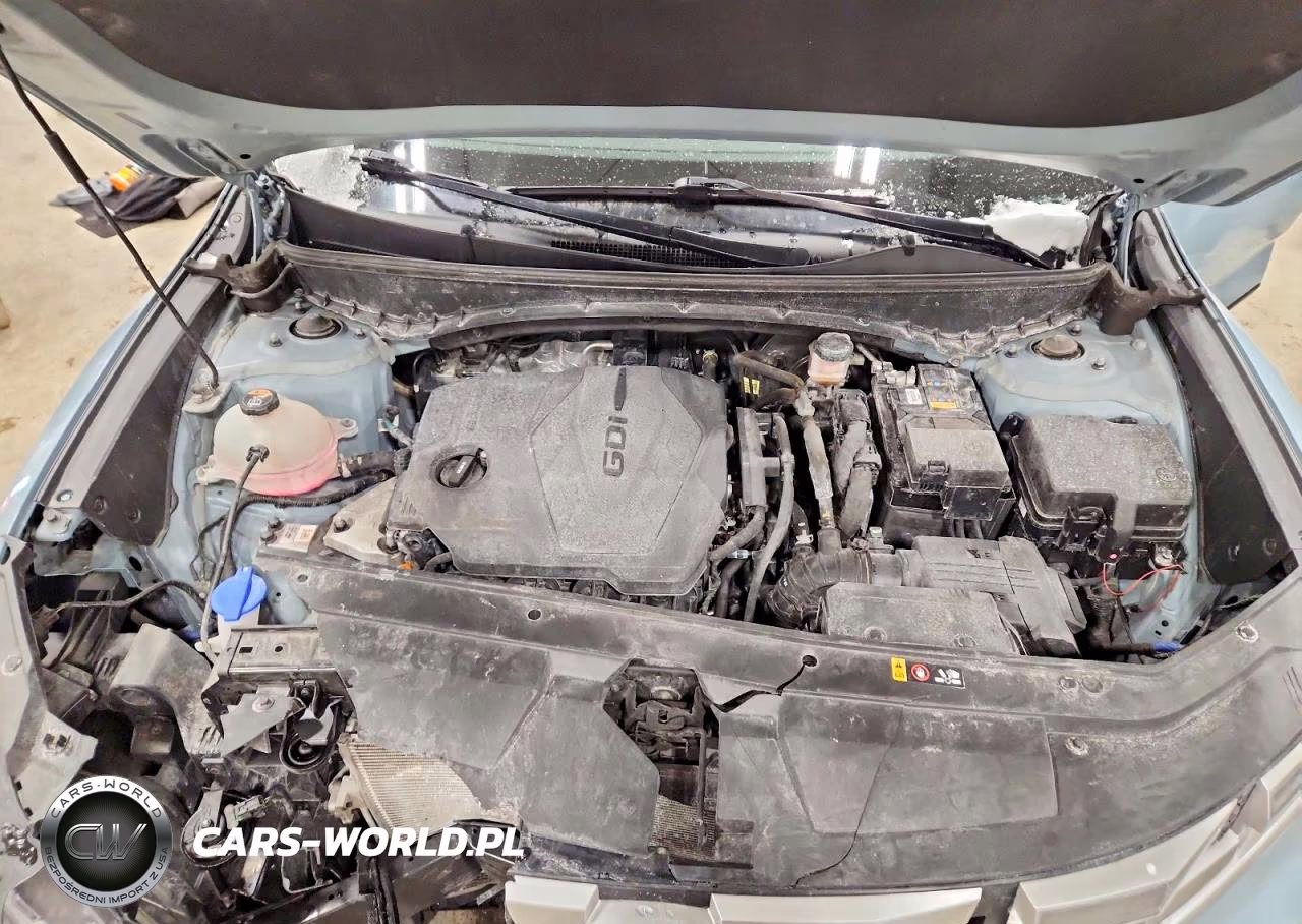 2022 Hyundai Santa Cruz Sel VIN:5NTJBDAEXNH013611 - 11