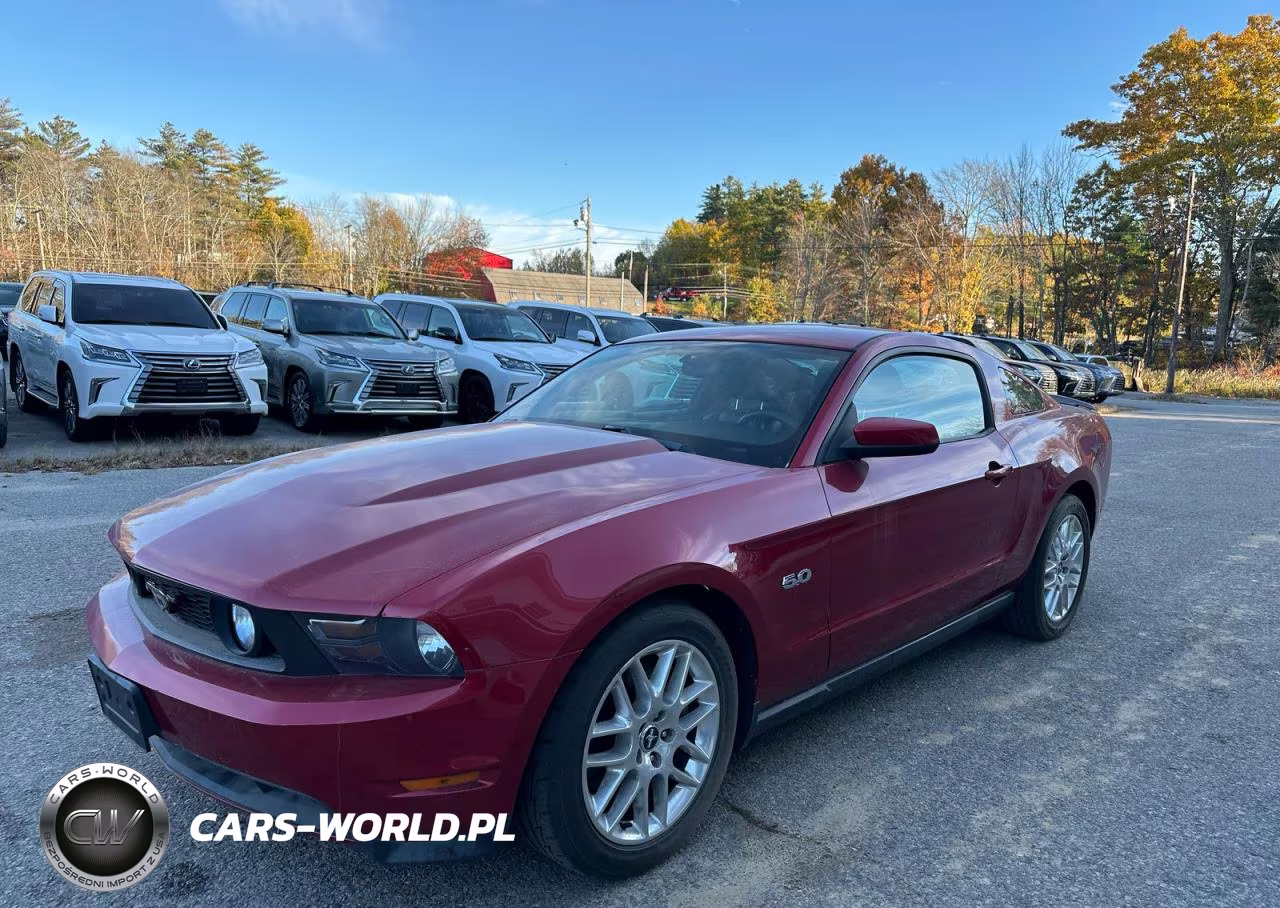 2012 Ford Mustang Gt Premium VIN:1ZVBP8CF7C5204169 - 2