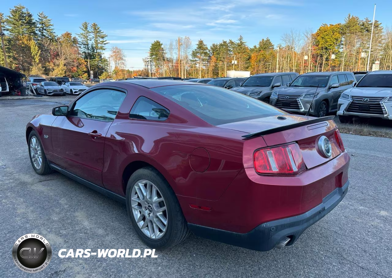 2012 Ford Mustang Gt Premium VIN:1ZVBP8CF7C5204169 - 3