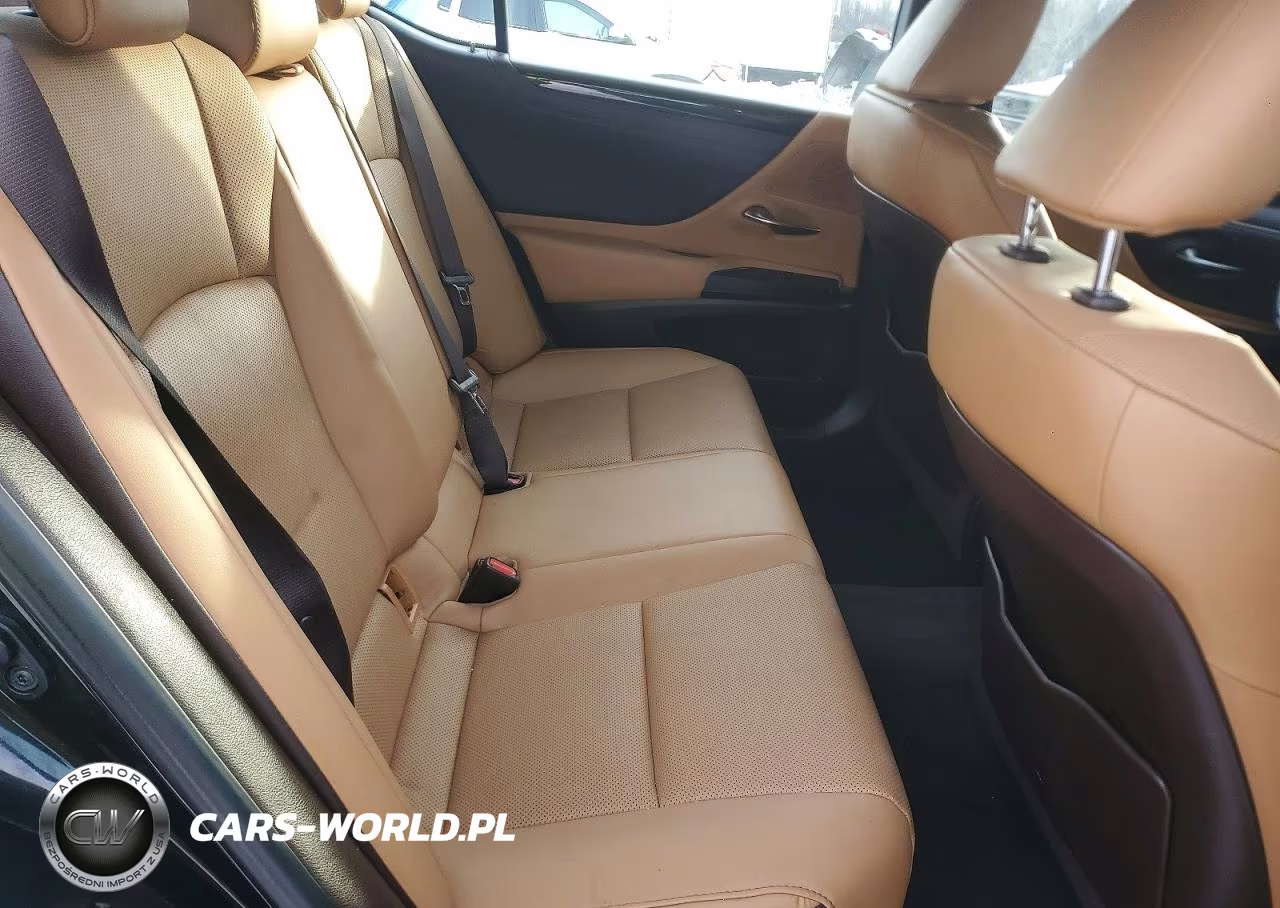 2021 Lexus Es 250 Base VIN:58AD11D18MU006378 - 10