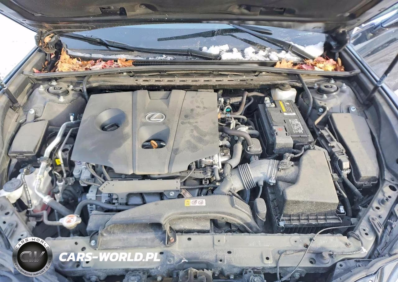 2021 Lexus Es 250 Base VIN:58AD11D18MU006378 - 11