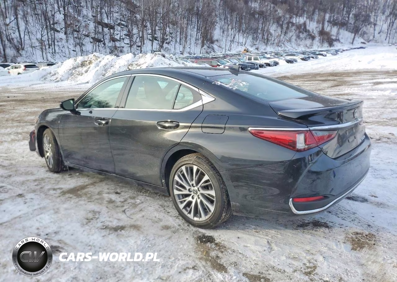 2021 Lexus Es 250 Base VIN:58AD11D18MU006378 - 2