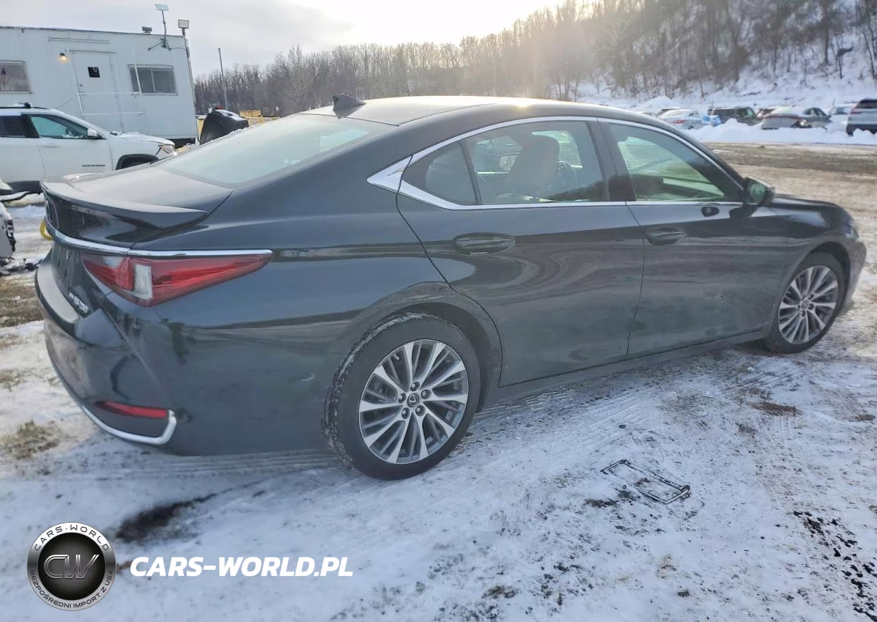 2021 Lexus Es 250 Base VIN:58AD11D18MU006378 - 3