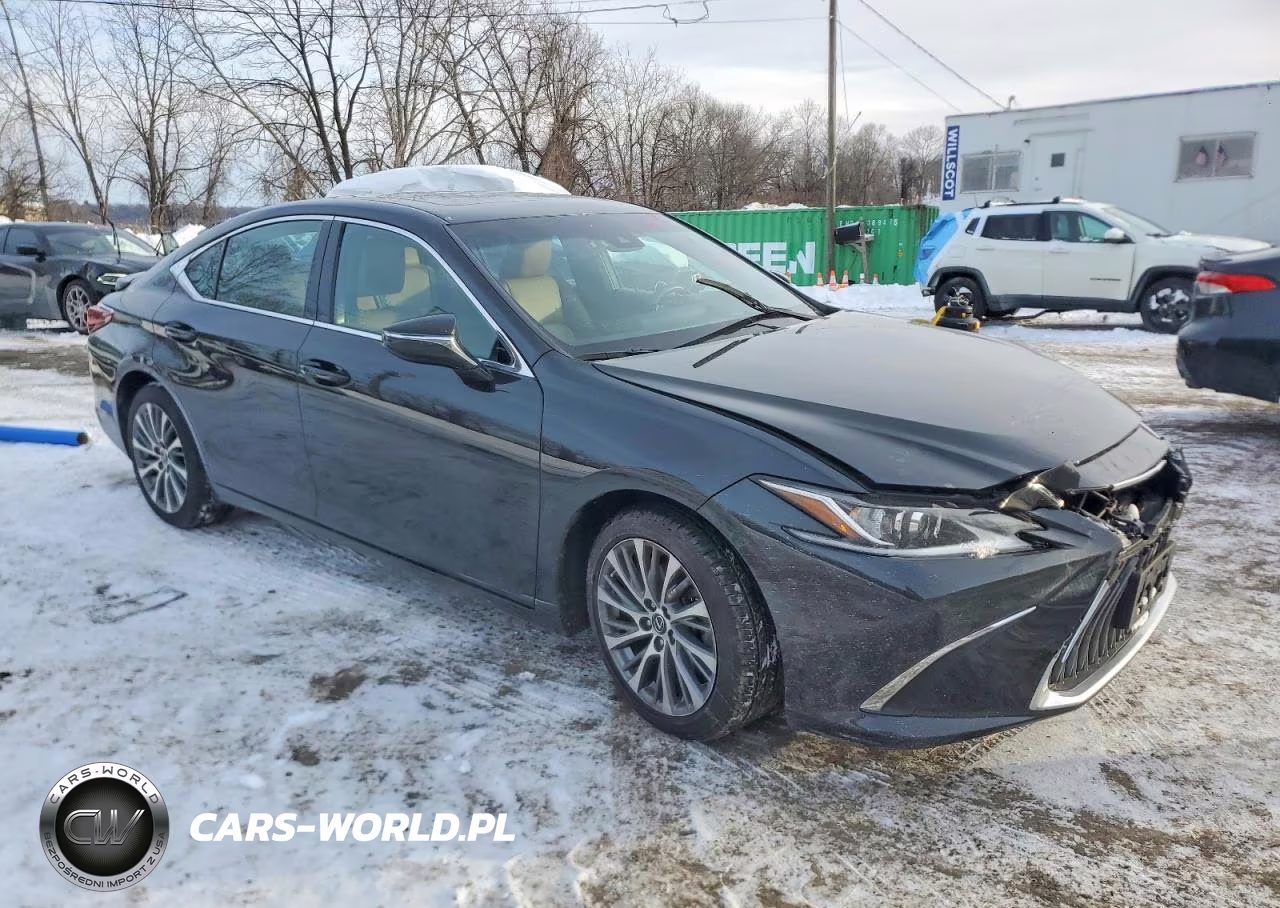 2021 Lexus Es 250 Base VIN:58AD11D18MU006378 - 4