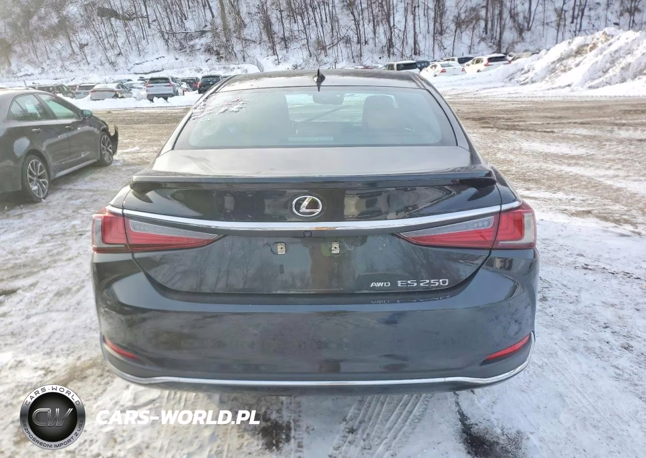 2021 Lexus Es 250 Base VIN:58AD11D18MU006378 - 6