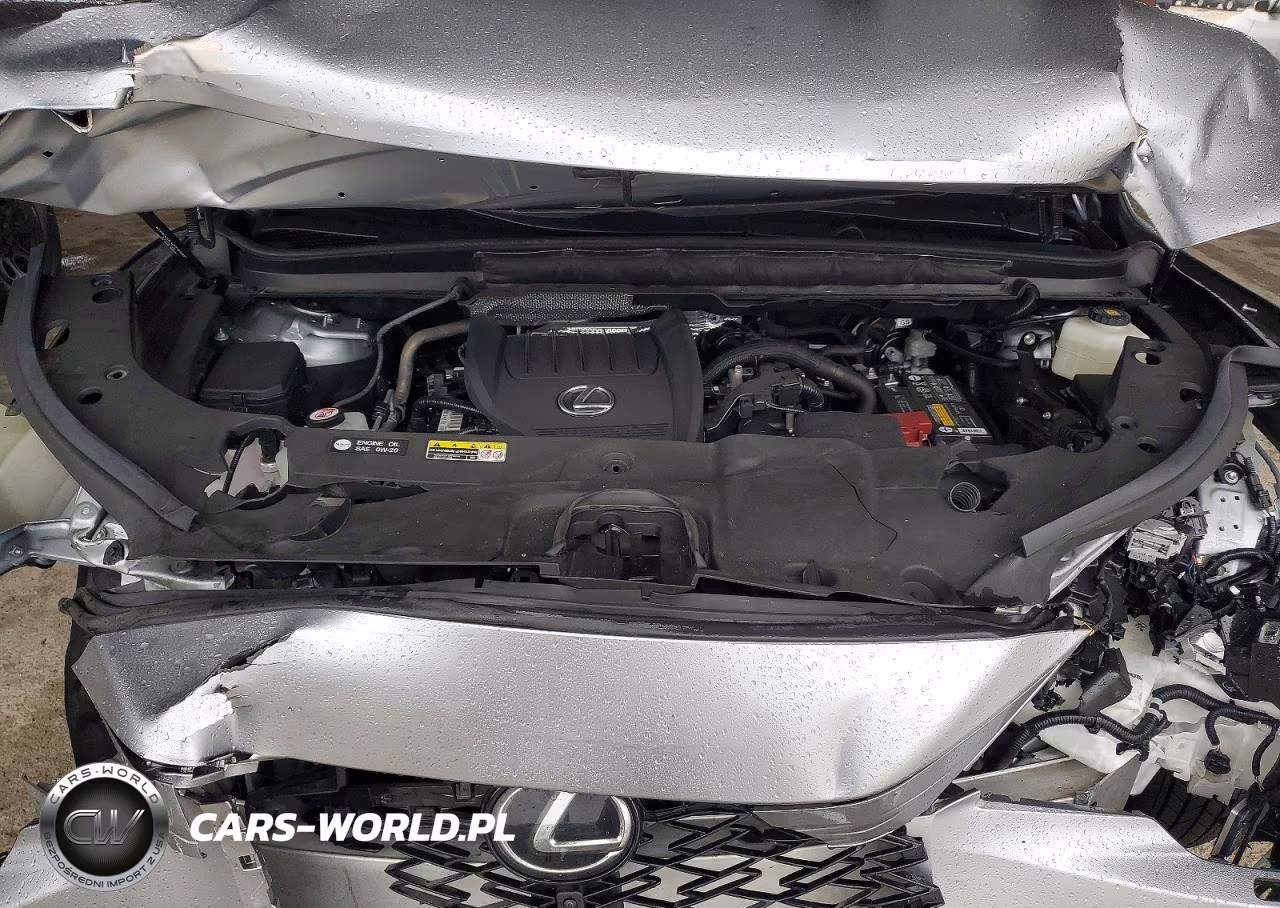 2024 Lexus Rx 350 Base VIN:2T2BAMCAXRC050453 - 12