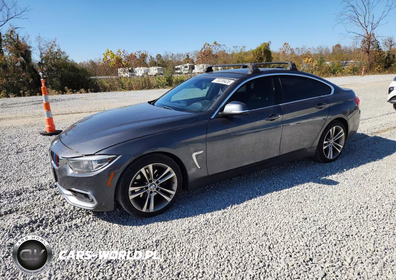 2019 BMW 430I Gran Coupe VIN:WBA4J1C59KBM14166 - 1