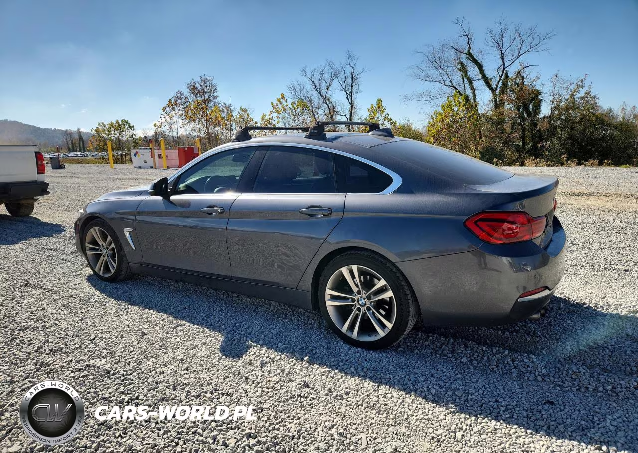 2019 BMW 430I Gran Coupe VIN:WBA4J1C59KBM14166 - 2
