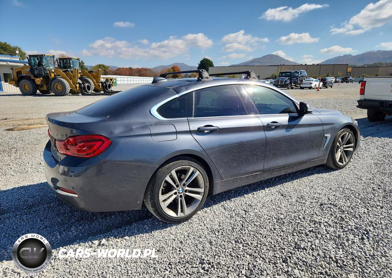 2019 BMW 430I Gran Coupe VIN:WBA4J1C59KBM14166 - 3