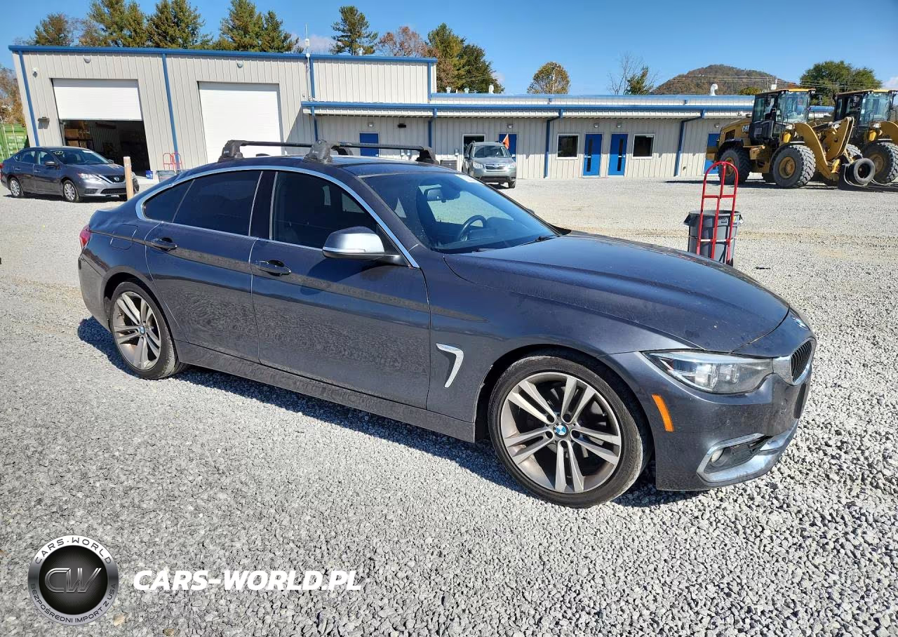 2019 BMW 430I Gran Coupe VIN:WBA4J1C59KBM14166 - 4