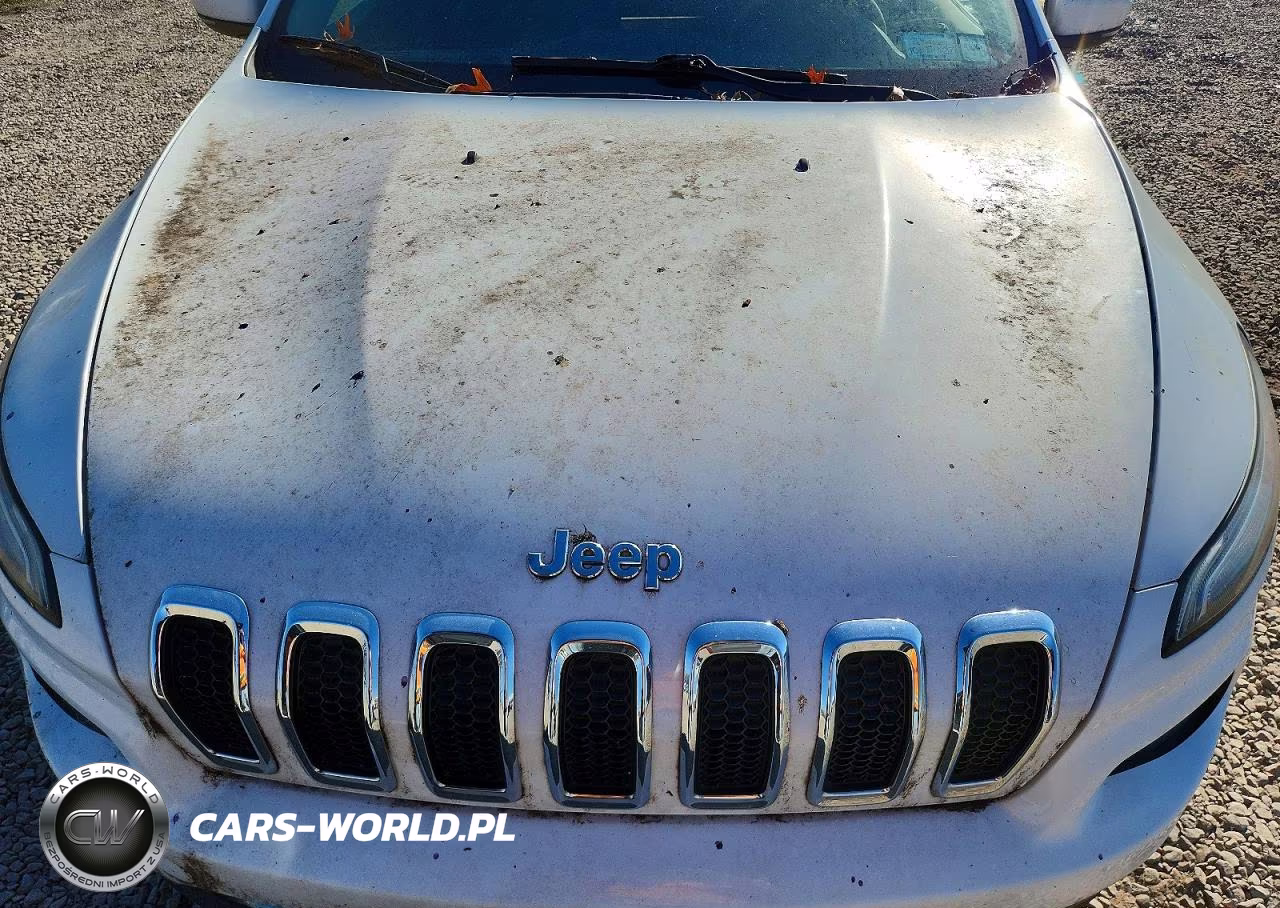 2014 Jeep Cherokee Limited VIN:1C4PJMDS0EW197318 - 12
