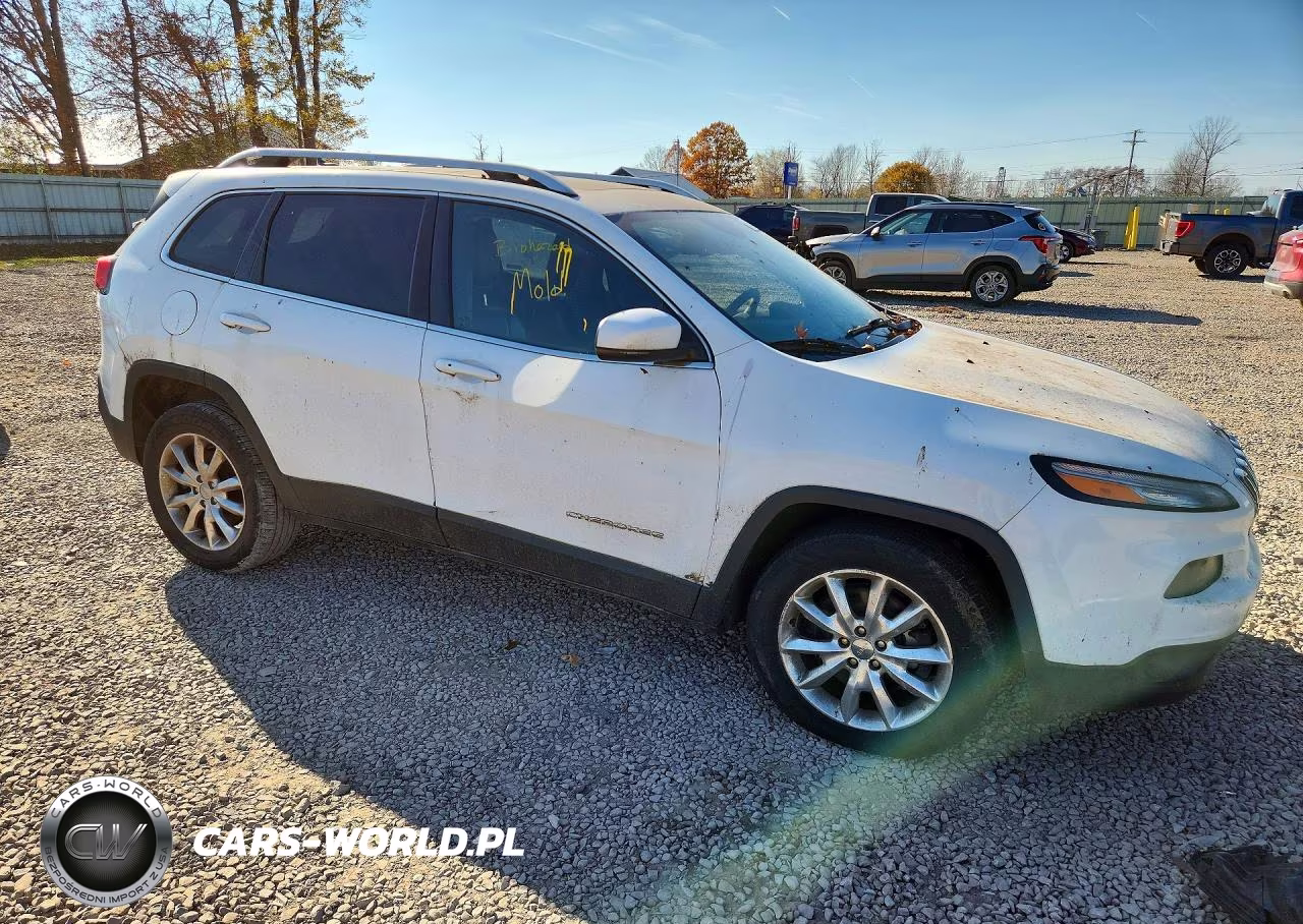 2014 Jeep Cherokee Limited VIN:1C4PJMDS0EW197318 - 4