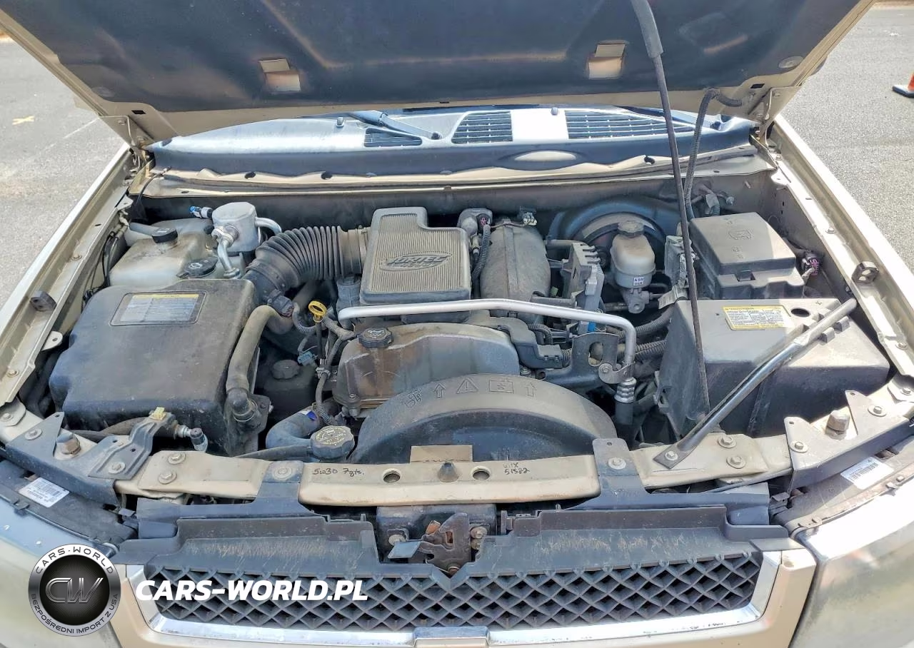 2006 Chevrolet Trailblazer Ls VIN:1GNDS13S062344575 - 12