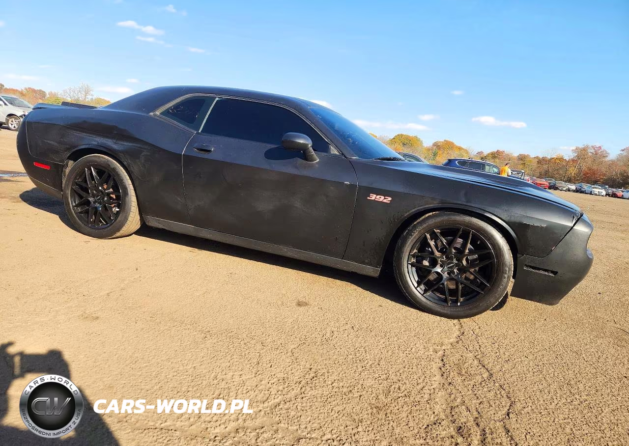 2017 Dodge Challenger R-T 392 VIN:2C3CDZFJ4HH594786 - 4
