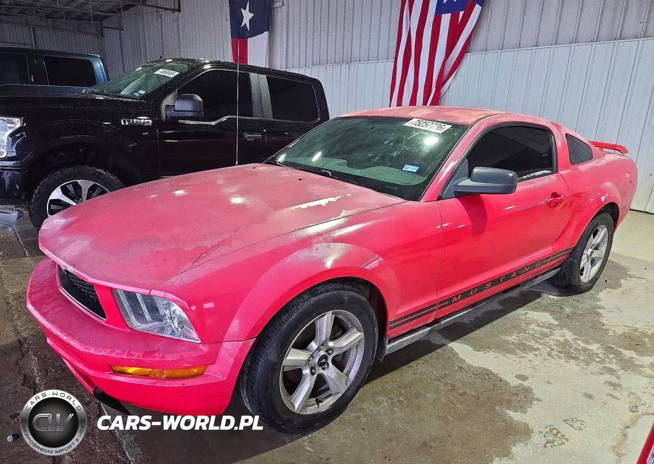 2005 Ford Mustang VIN:1ZVFT80N155125043 - 1