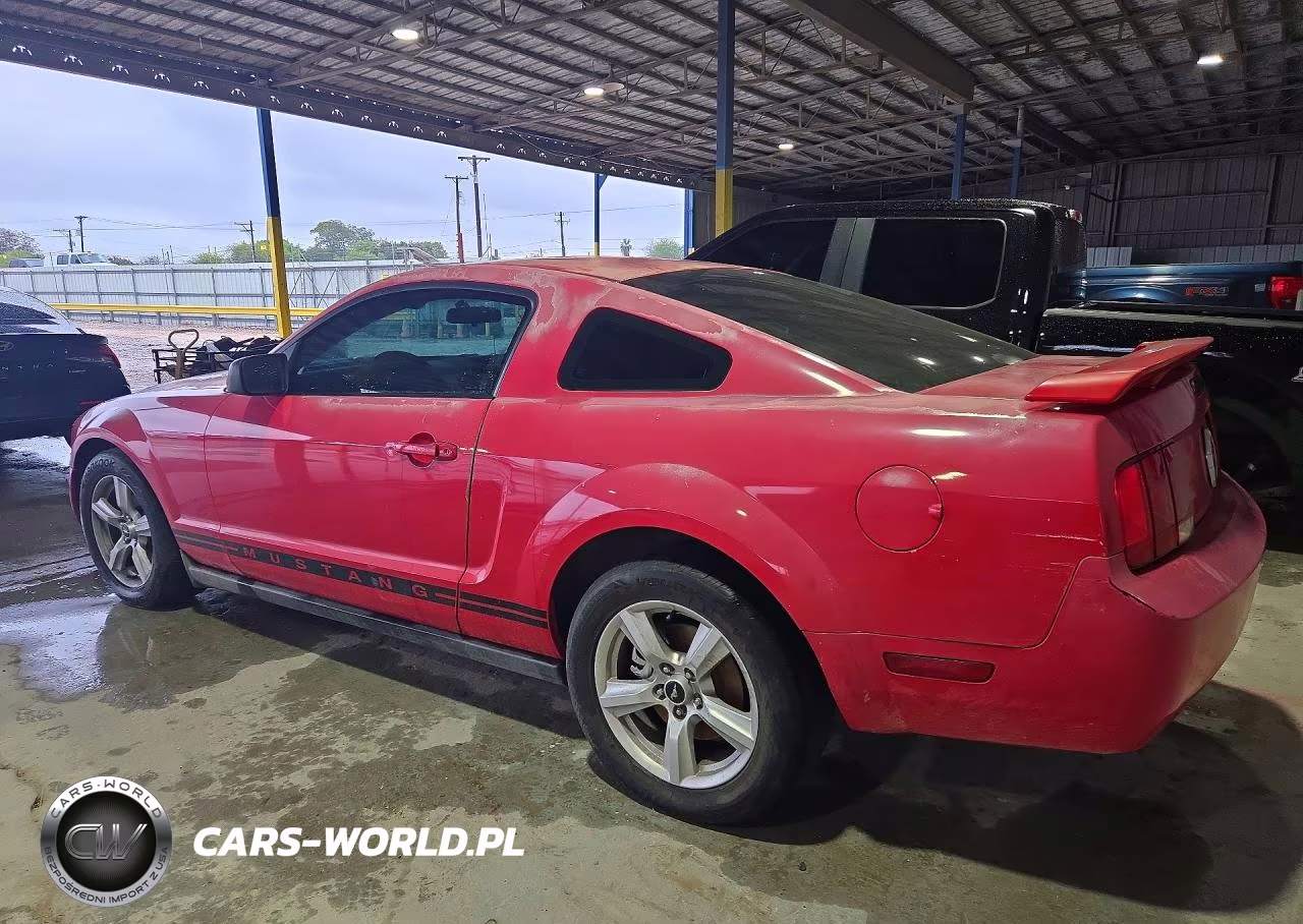 2005 Ford Mustang VIN:1ZVFT80N155125043 - 2