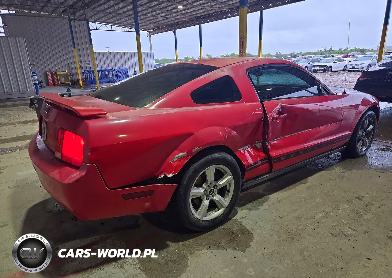 2005 Ford Mustang VIN:1ZVFT80N155125043 - 3