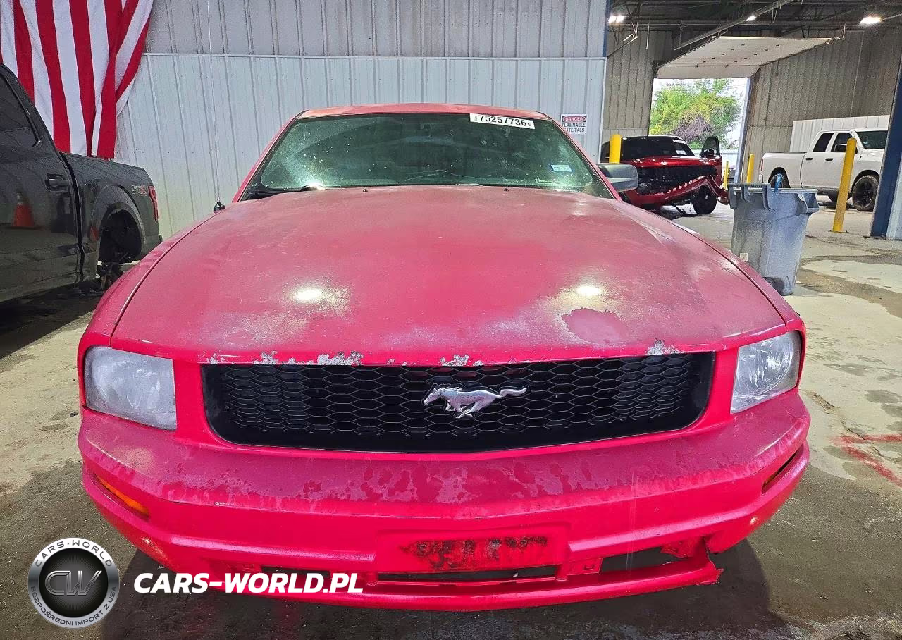 2005 Ford Mustang VIN:1ZVFT80N155125043 - 5