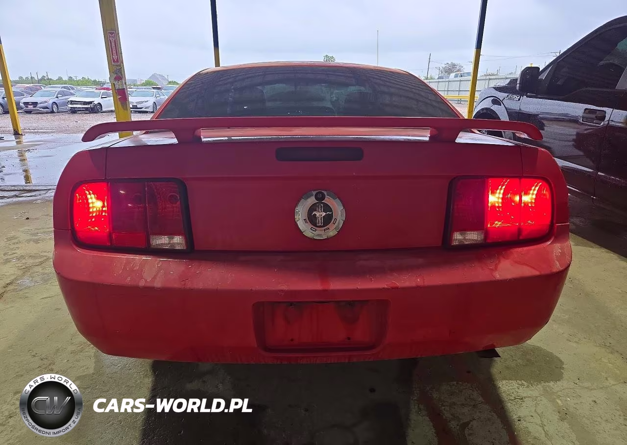 2005 Ford Mustang VIN:1ZVFT80N155125043 - 6
