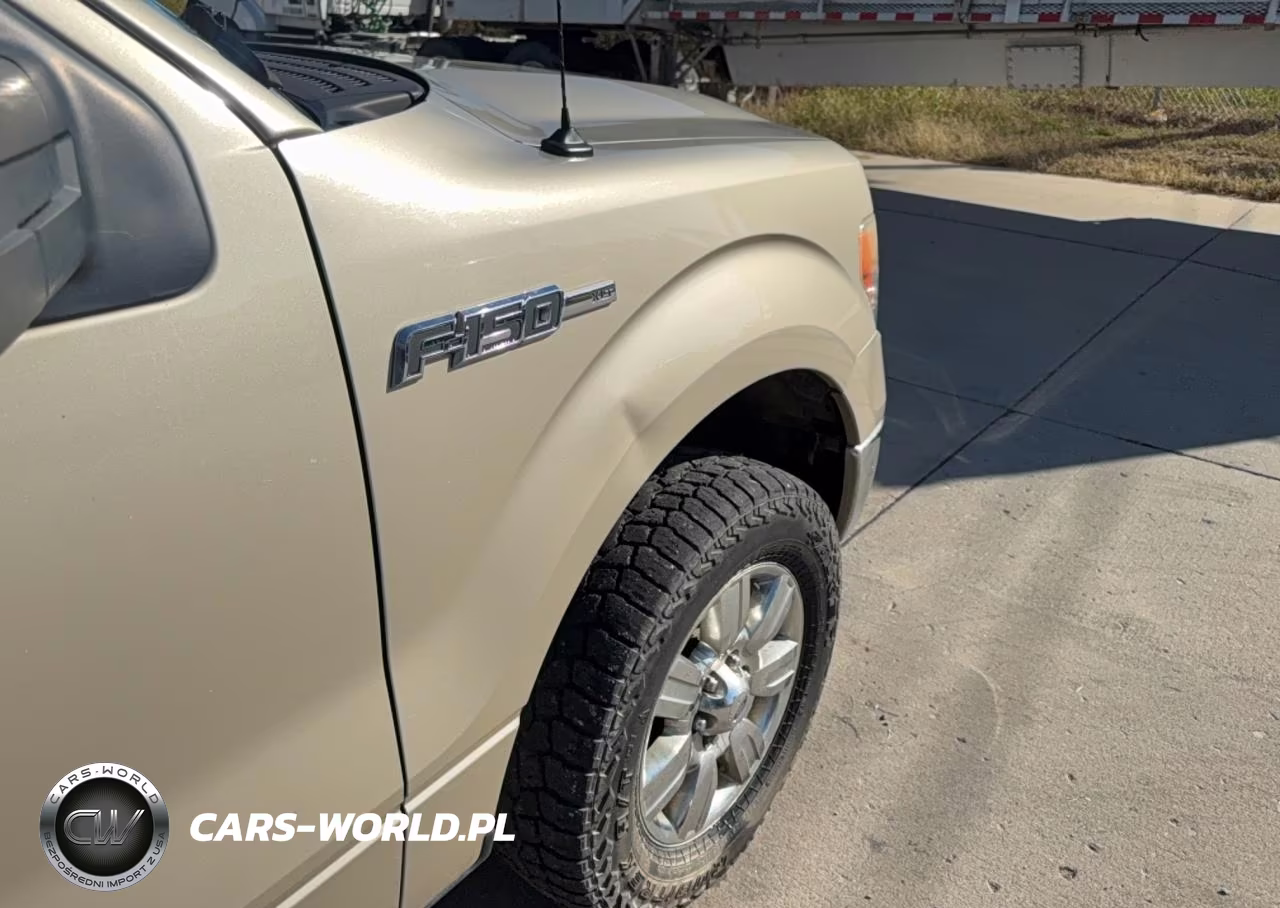 2010 Ford F150 Supercrew VIN:1FTFW1EV2AFA17528 - 13