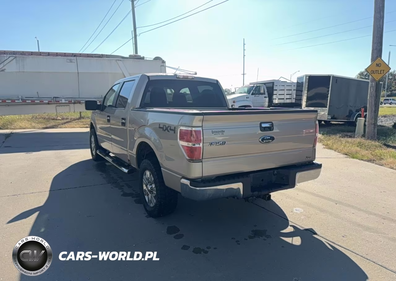 2010 Ford F150 Supercrew VIN:1FTFW1EV2AFA17528 - 3