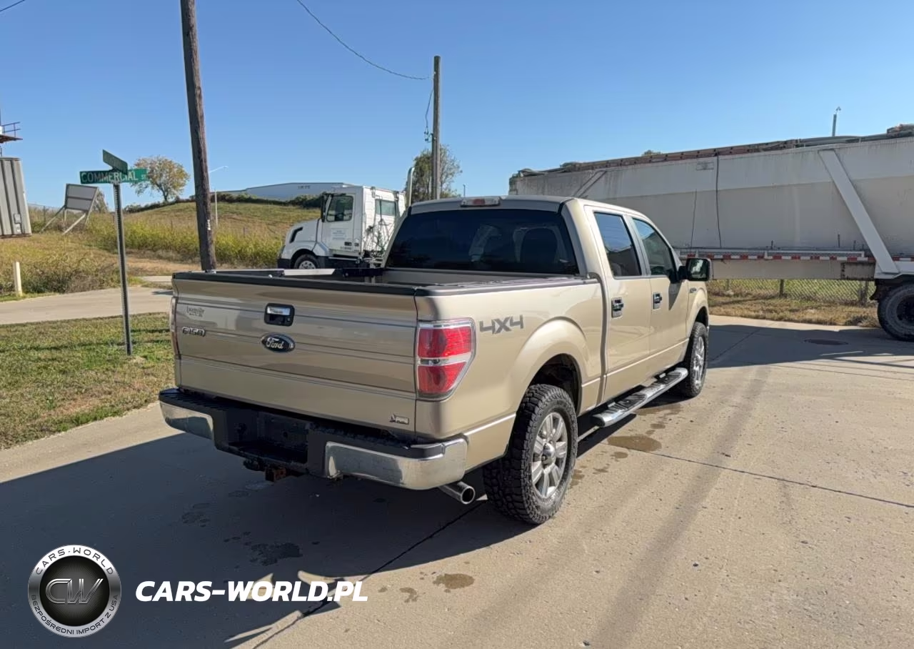2010 Ford F150 Supercrew VIN:1FTFW1EV2AFA17528 - 4
