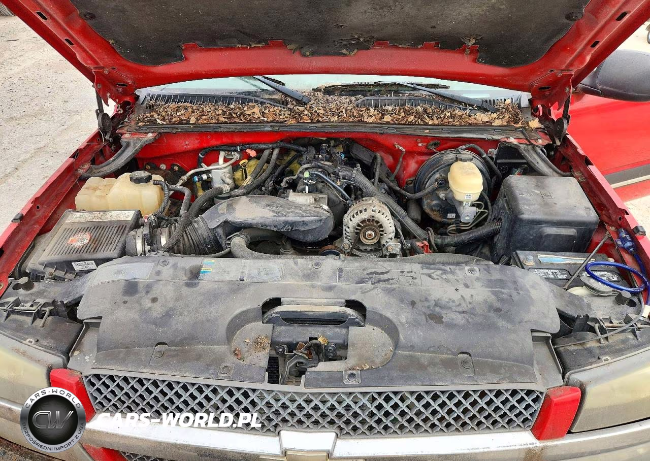 2005 Chevrolet Silverado K1500 VIN:1GCEK19Z15Z245576 - 11