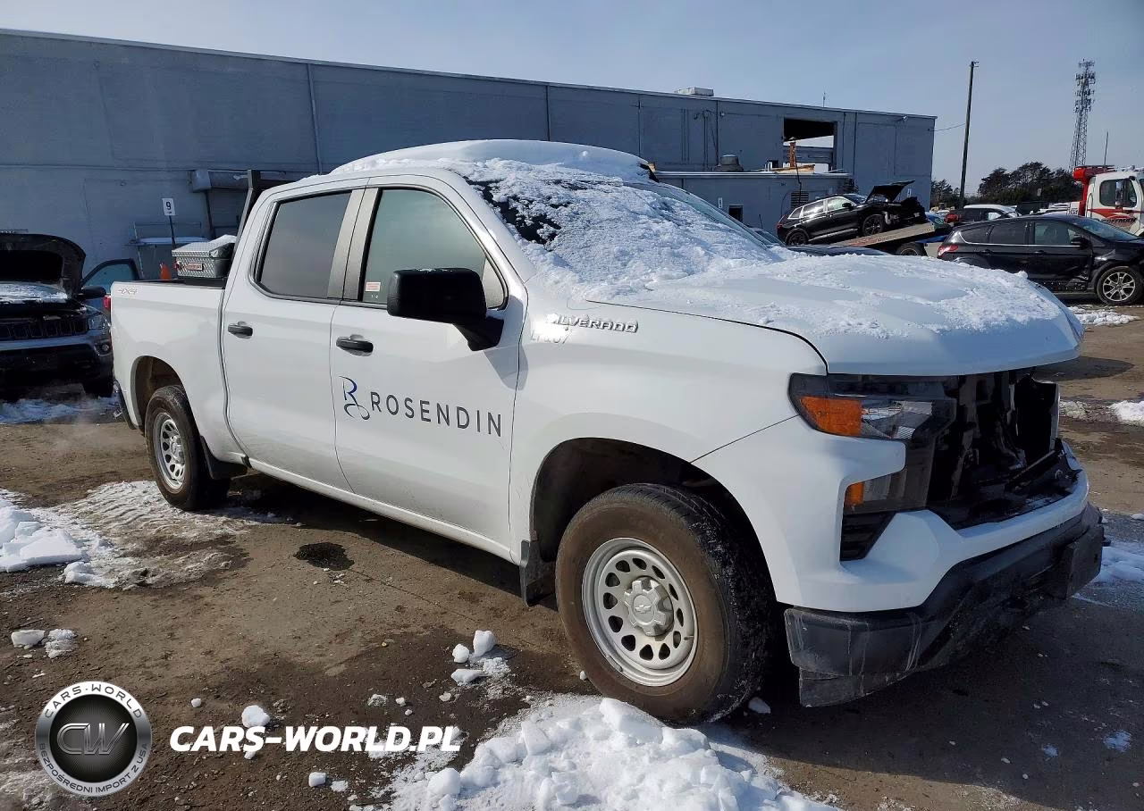 2024 Chevrolet Silverado K1500 VIN:1GCPDAEK8RZ195874 - 4