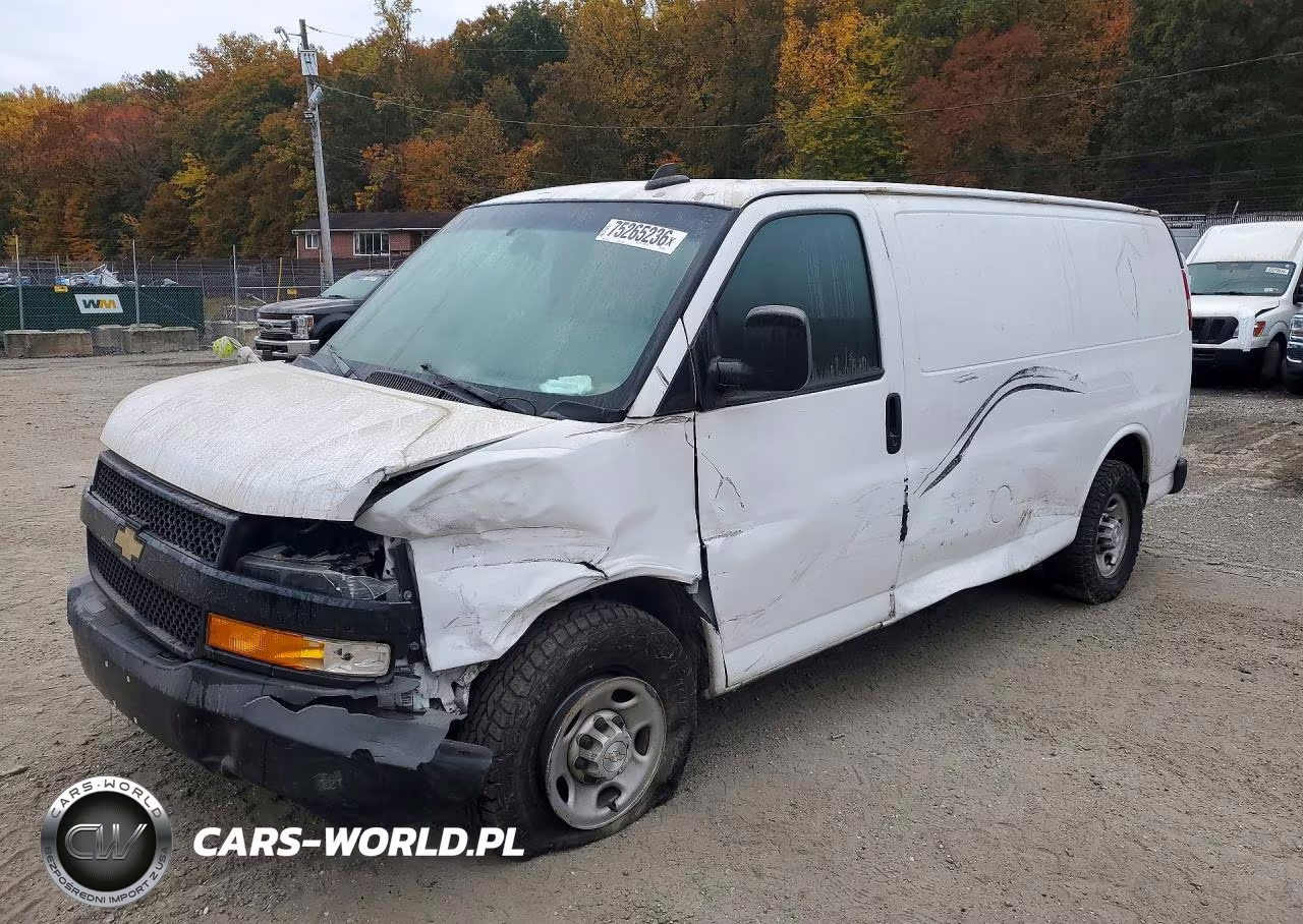 2020 Chevrolet Express Delivery Van VIN:1GCWGAFP3L1166561 - 1
