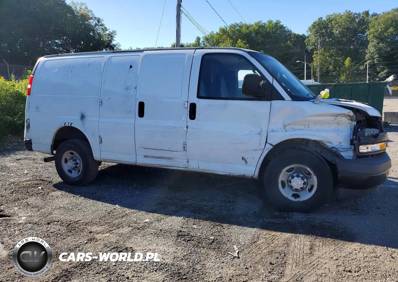 2020 Chevrolet Express Delivery Van VIN:1GCWGAFP3L1166561 - 3
