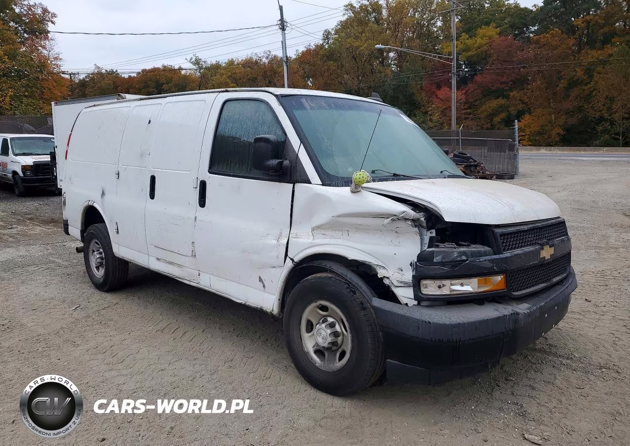 2020 Chevrolet Express Delivery Van VIN:1GCWGAFP3L1166561 - 4