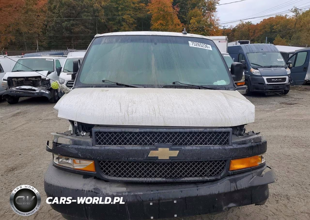 2020 Chevrolet Express Delivery Van VIN:1GCWGAFP3L1166561 - 5