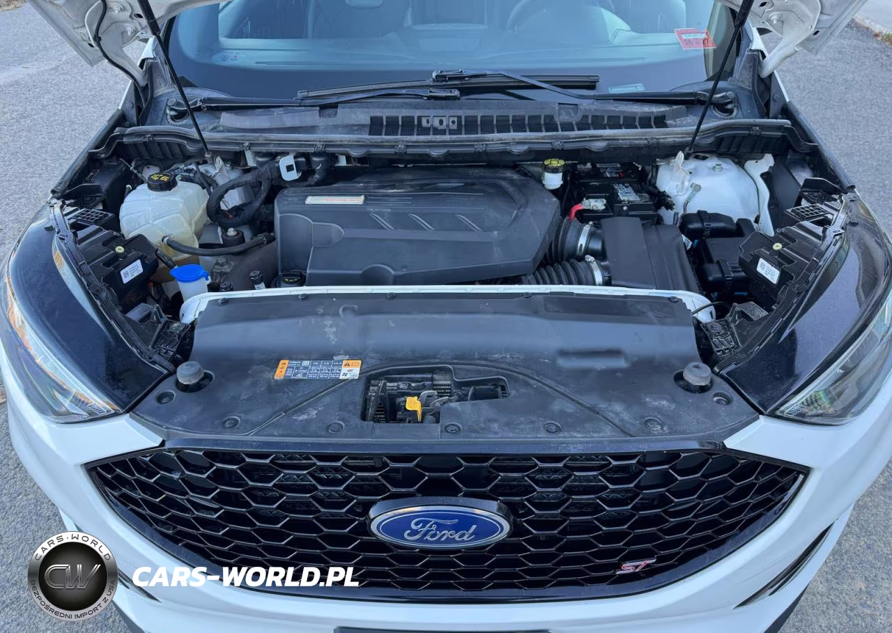 2020 Ford Edge St VIN:2FMPK4AP5LBA83208 - 7