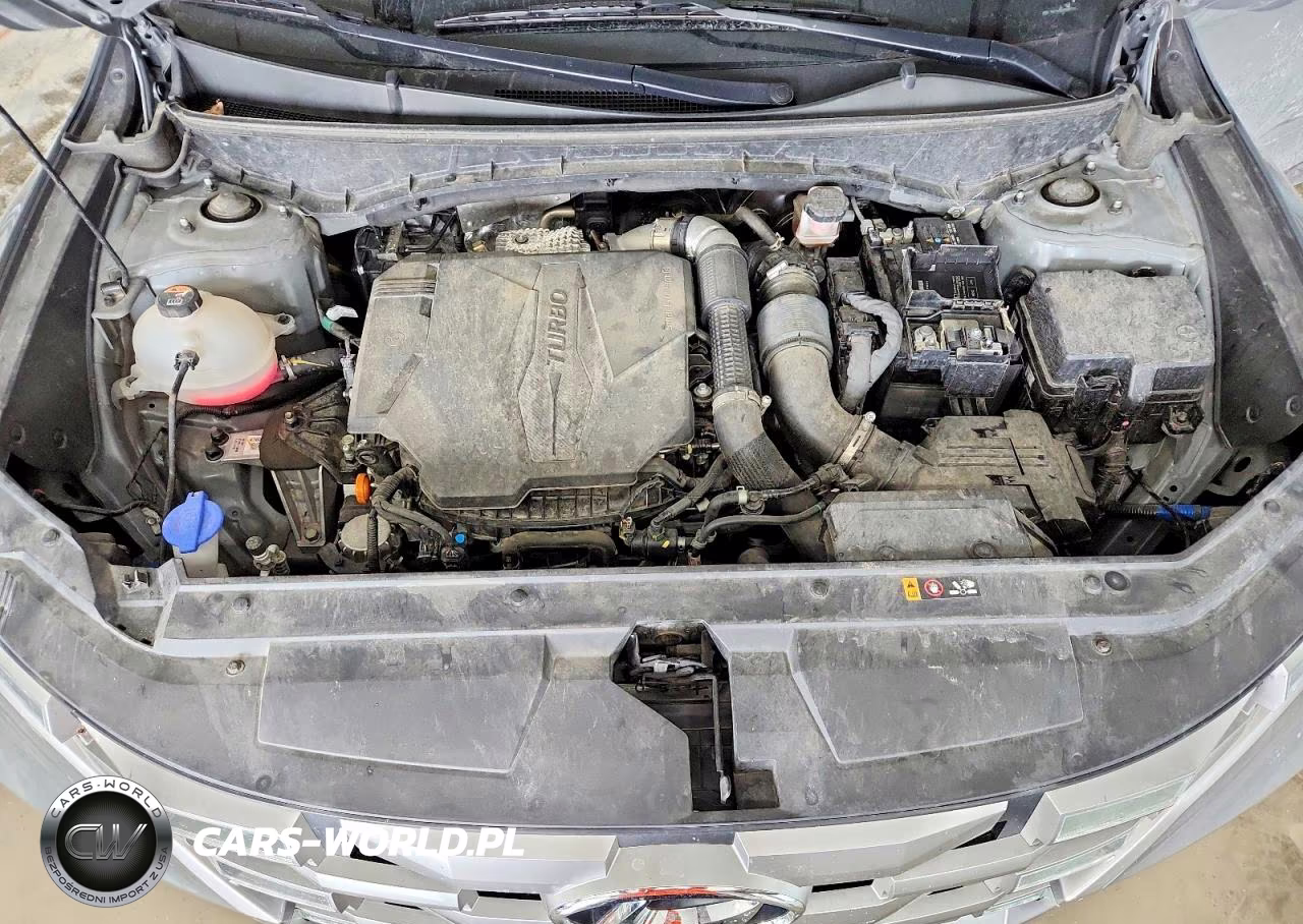 2022 Hyundai Santa Cruz Sel Premium VIN:5NTJDDAF7NH027324 - 11