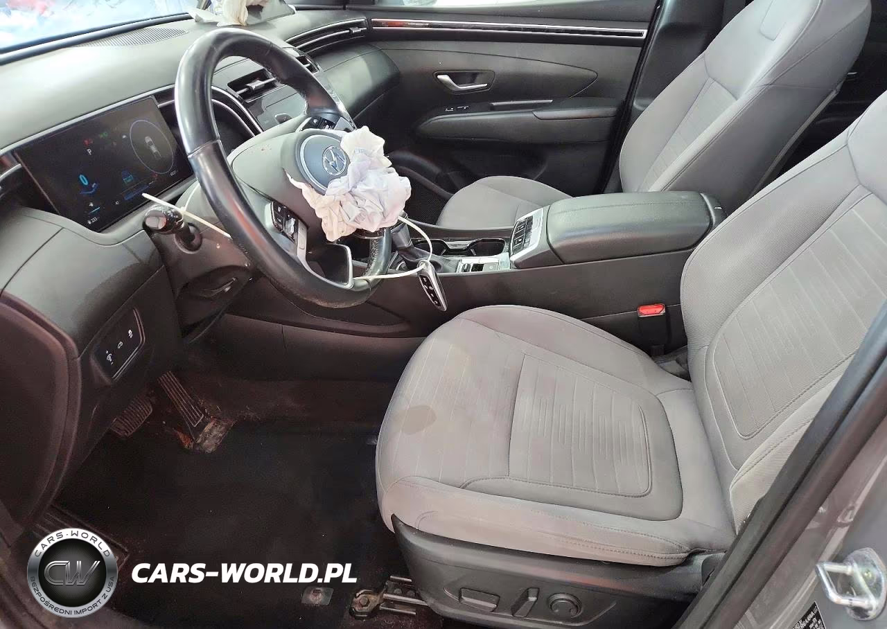 2022 Hyundai Santa Cruz Sel Premium VIN:5NTJDDAF7NH027324 - 7