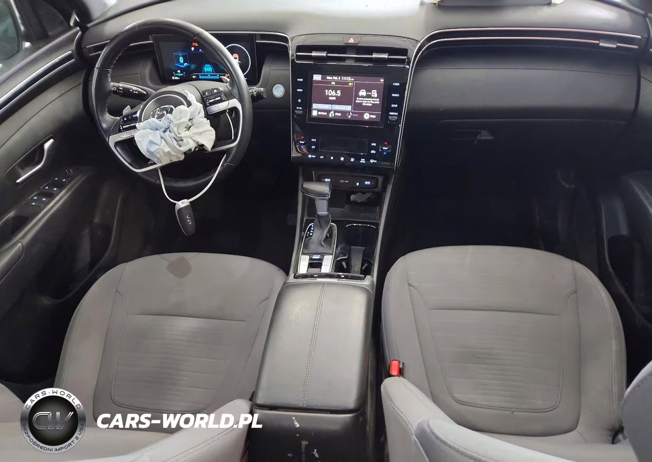 2022 Hyundai Santa Cruz Sel Premium VIN:5NTJDDAF7NH027324 - 8