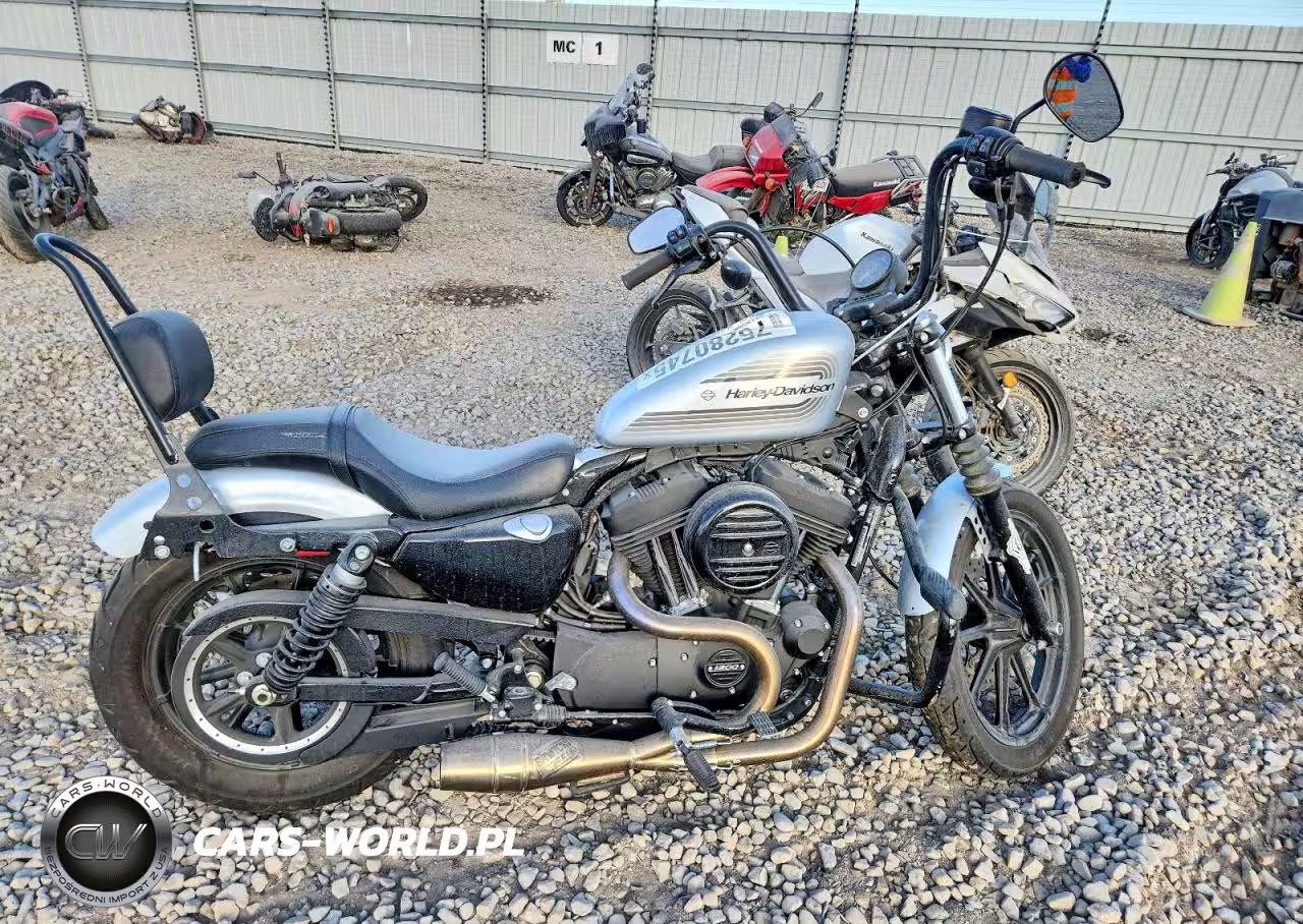 2020 Harley-Davidson Xl1200 Ns