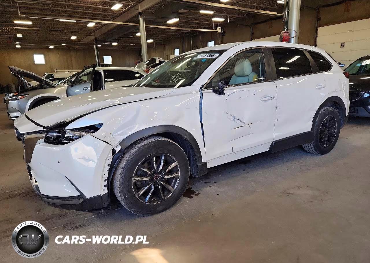 2019 Mazda Cx-9 Sport VIN:JM3TCBBY2K0314942 - 1