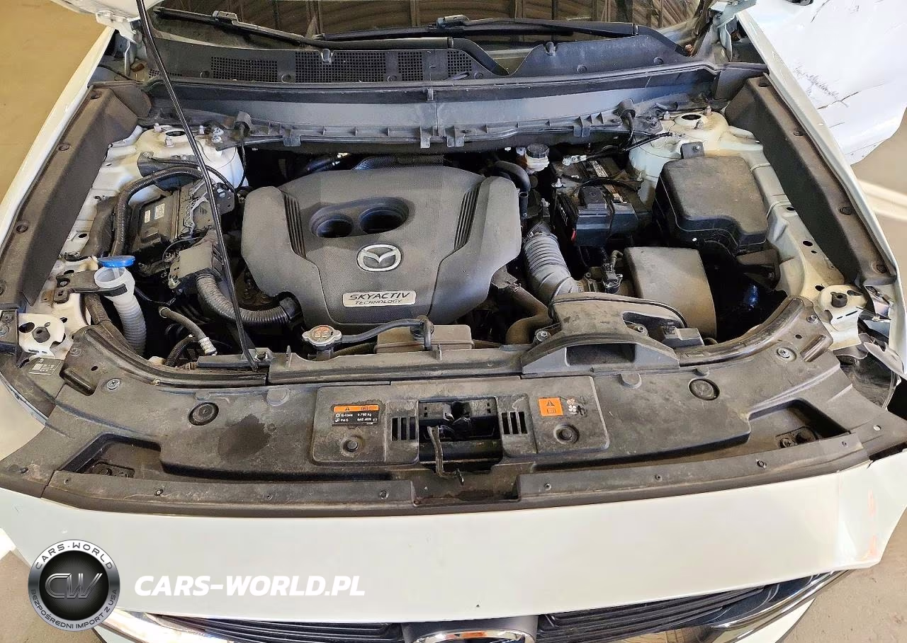 2019 Mazda Cx-9 Sport VIN:JM3TCBBY2K0314942 - 12