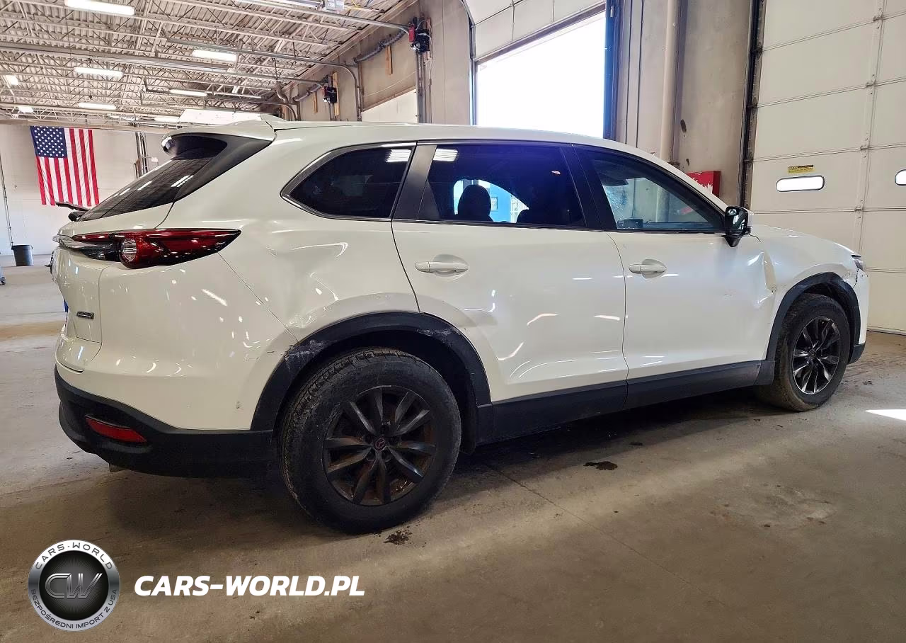 2019 Mazda Cx-9 Sport VIN:JM3TCBBY2K0314942 - 3